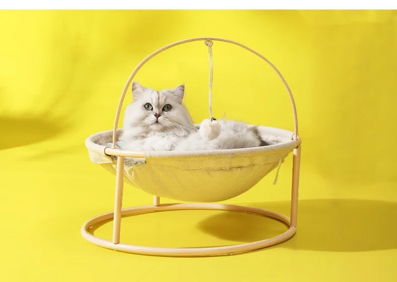 Cama jumping con tapete Calabaza Pets