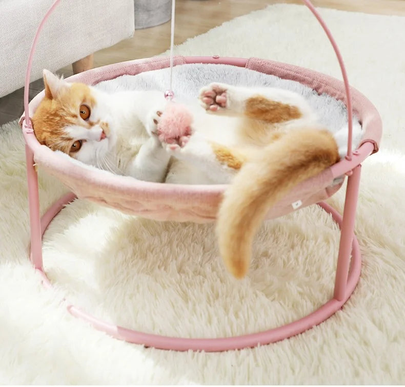 Cama jumping con tapete Calabaza Pets