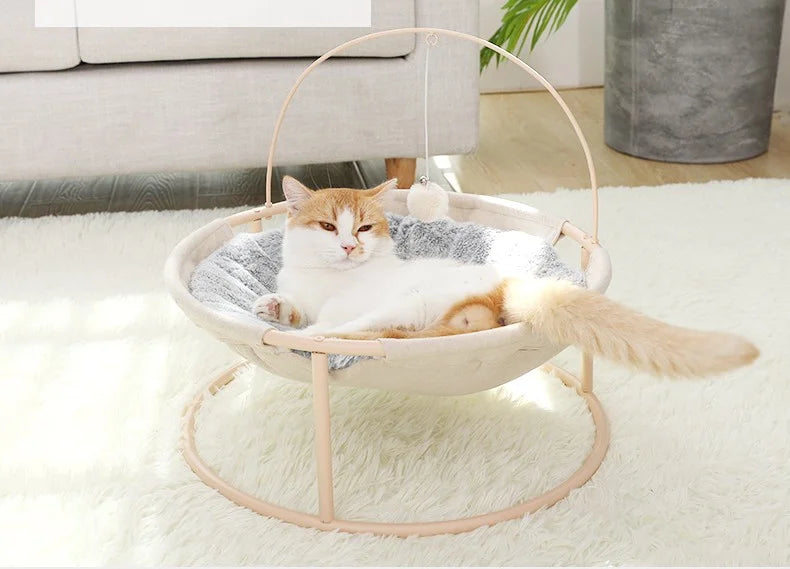 Cama jumping con tapete Calabaza Pets