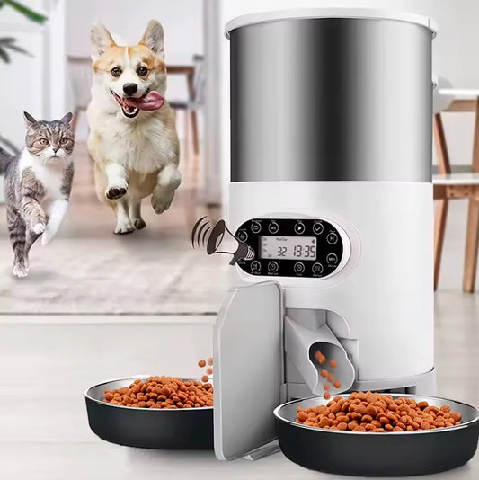 Comedero inteligente con wifi SmartPaws Calabaza Pets