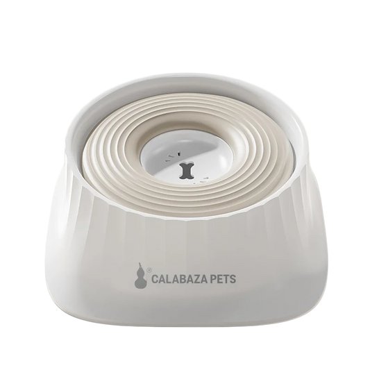 Bebedero anti-derrame Calabaza Pets