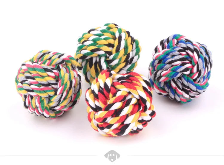 Kit de 2 pelotas Calabaza Pets